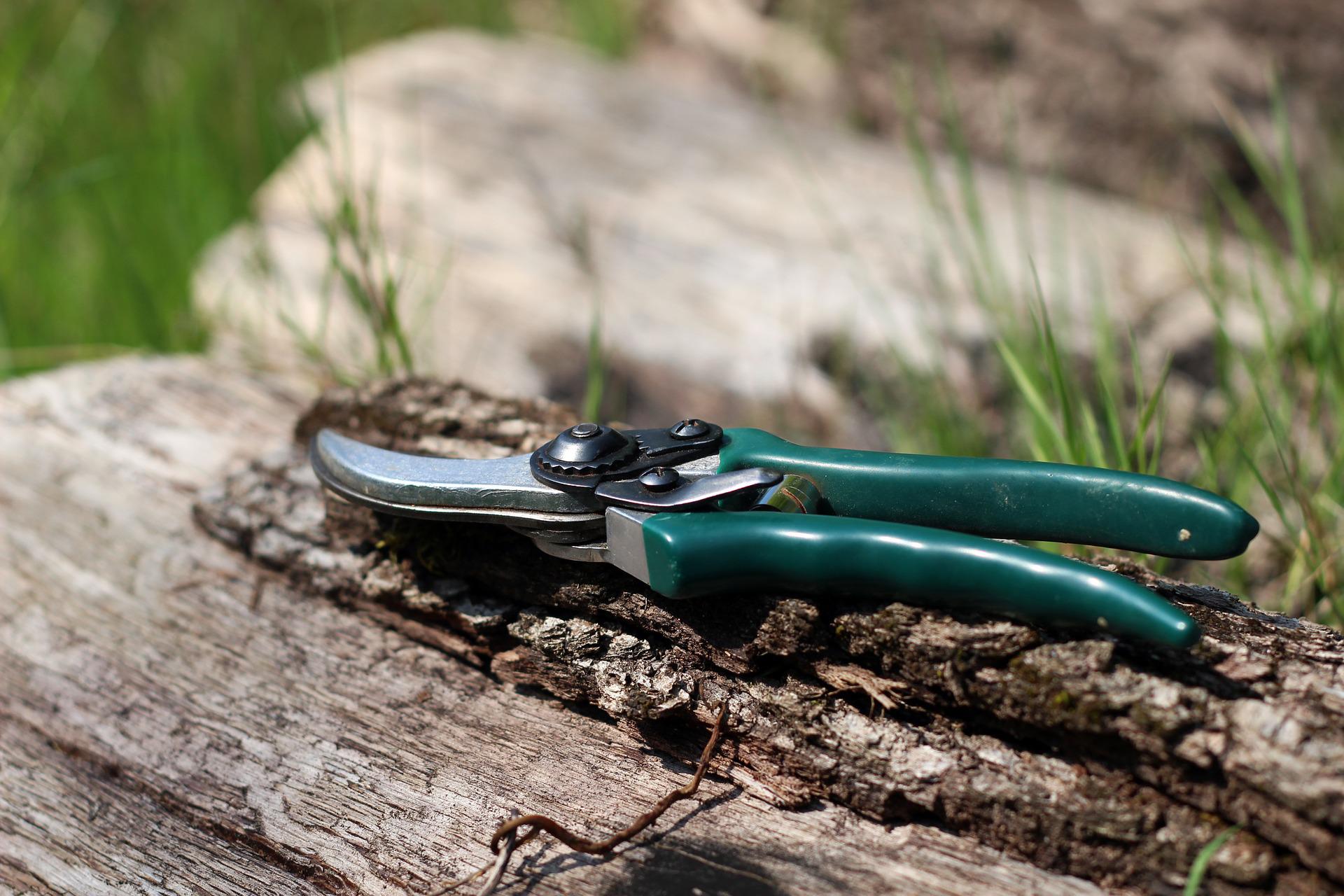 Precision Gardening Shears for Pruning and Maintenance